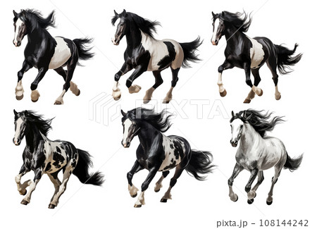 Black and white horse running vector set isolated on white background 108144242