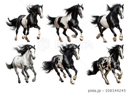 Black and white horse running vector set isolated on white background 108144243