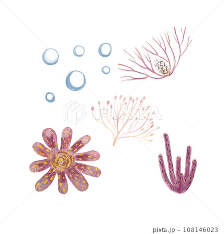 Hand-drawn polyp bubbles isolated on white Hand-drawn polyp bubbles isolated on white 108146023
