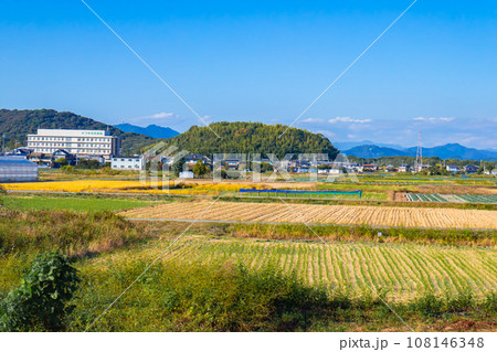 秋の田んぼと青空 秋の田んぼと青空 108146348