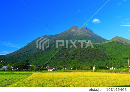 【大分県】晴天の由布岳と由布院 108146468