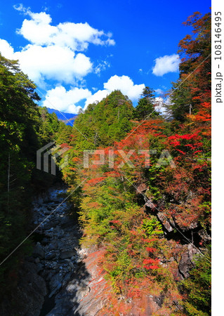 【愛媛県】晴天の面河渓の紅葉（相思渓） 108146495