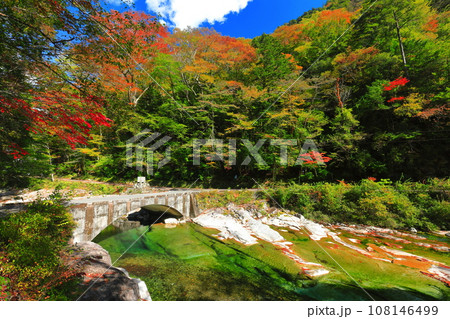 【愛媛県】晴天の面河渓の紅葉(五色河原) 【愛媛県】晴天の面河渓の紅葉(五色河原) 108146499