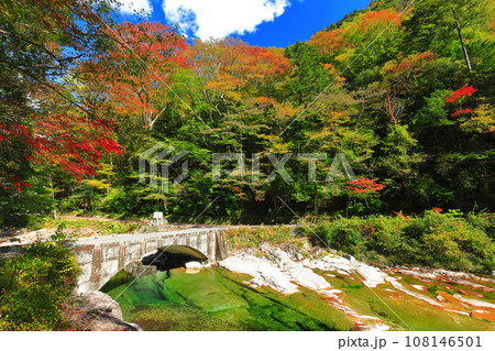 【愛媛県】晴天の面河渓の紅葉(五色河原) 【愛媛県】晴天の面河渓の紅葉(五色河原) 108146501