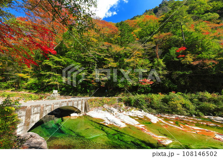 【愛媛県】晴天の面河渓の紅葉(五色河原) 【愛媛県】晴天の面河渓の紅葉(五色河原) 108146502