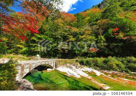 【愛媛県】晴天の面河渓の紅葉（五色河原） 108146504