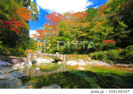 【愛媛県】晴天の面河渓の紅葉（五色河原） 108146507
