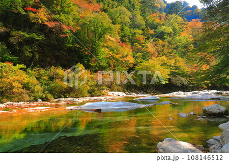 【愛媛県】晴天の面河渓の紅葉(五色河原) 【愛媛県】晴天の面河渓の紅葉(五色河原) 108146512