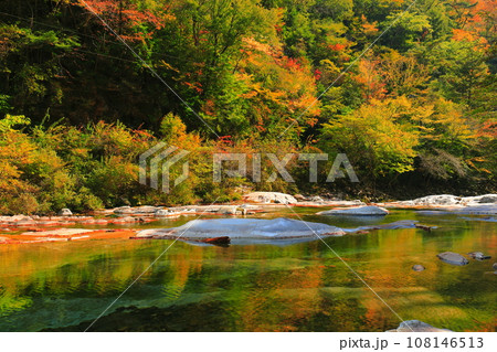 【愛媛県】晴天の面河渓の紅葉（五色河原） 108146513