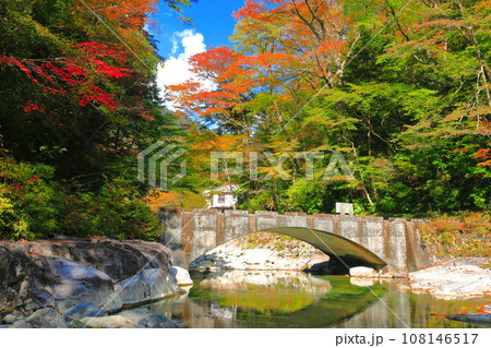 【愛媛県】晴天の面河渓の紅葉(五色河原) 【愛媛県】晴天の面河渓の紅葉(五色河原) 108146517