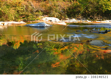 【愛媛県】晴天の面河渓の紅葉（五色河原） 108146521
