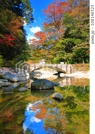【愛媛県】晴天の面河渓の紅葉(五色河原) 【愛媛県】晴天の面河渓の紅葉(五色河原) 108146525