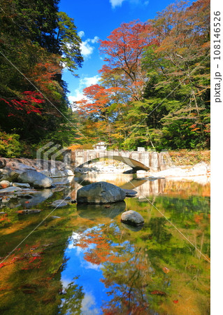 【愛媛県】晴天の面河渓の紅葉(五色河原) 【愛媛県】晴天の面河渓の紅葉(五色河原) 108146526