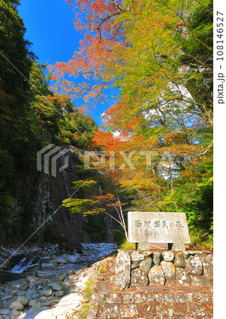 【愛媛県】晴天の面河渓の紅葉（亀原） 108146527