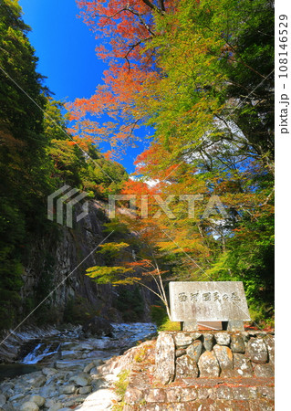 【愛媛県】晴天の面河渓の紅葉（亀原） 108146529
