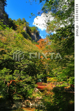 【愛媛県】晴天の面河渓の紅葉（本流ルート） 108146534