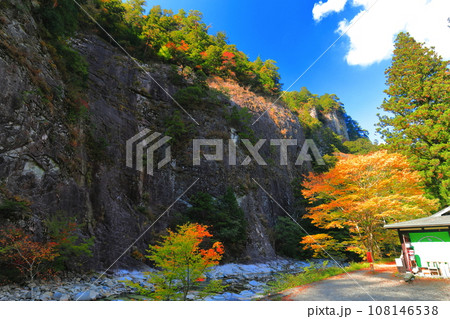 【愛媛県】晴天の面河渓の紅葉（亀原） 108146538