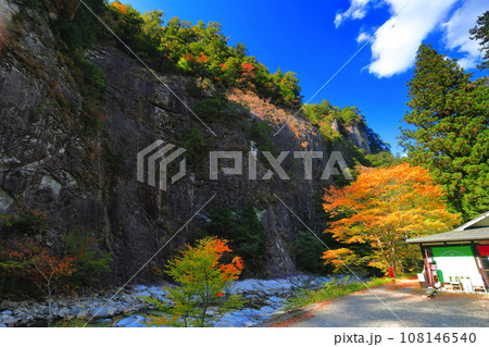 【愛媛県】晴天の面河渓の紅葉（亀原） 108146540