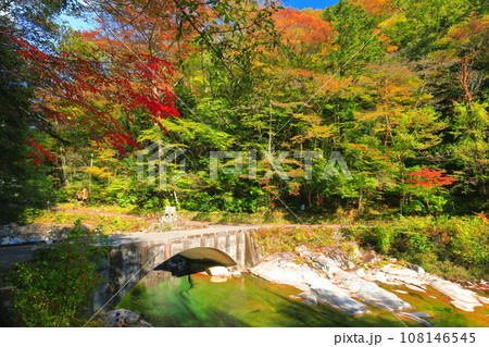 【愛媛県】晴天の面河渓の紅葉(五色河原) 【愛媛県】晴天の面河渓の紅葉(五色河原) 108146545