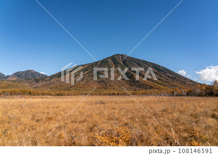【栃木県】秋晴れの奥日光戦場ヶ原（10月） 108146591