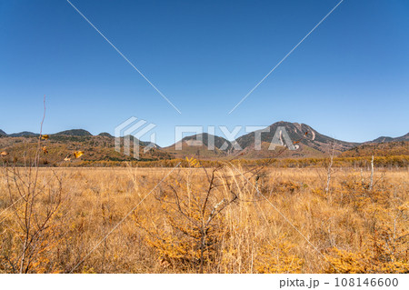 【栃木県】秋晴れの奥日光戦場ヶ原（10月） 108146600