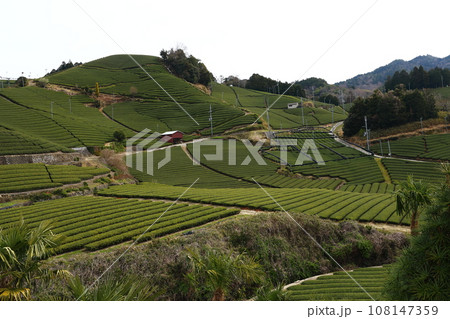 和束 和束 108147359