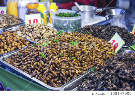 Thai food deep fried spicy silk worms and insects at night street food market Thai food deep fried spicy silk worms and insects at night street food market 108147906