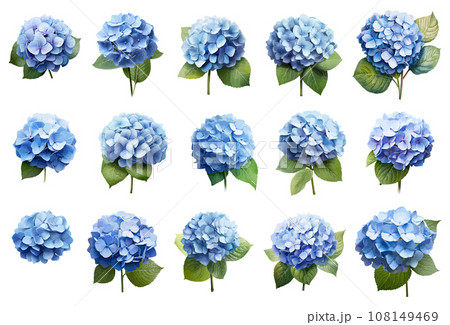 hydrangeaオーダーページ s-l400.jpg