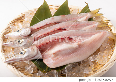 かます開き 108150257