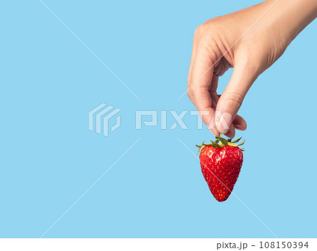 ripe strawberry in hand blue background copy space ripe strawberry in hand blue background copy space 108150394