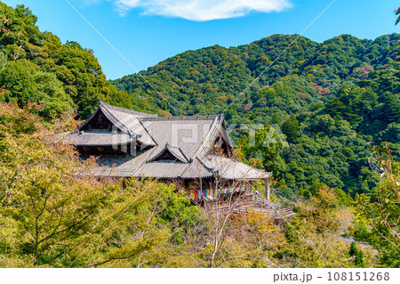 【奈良県】桜井市 長谷寺 (2023/10/24 撮影) 108151268