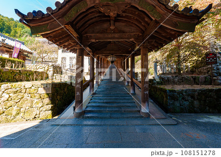 【奈良県】桜井市 長谷寺 (2023/10/24 撮影) 【奈良県】桜井市 長谷寺 (2023/10/24 撮影) 108151278