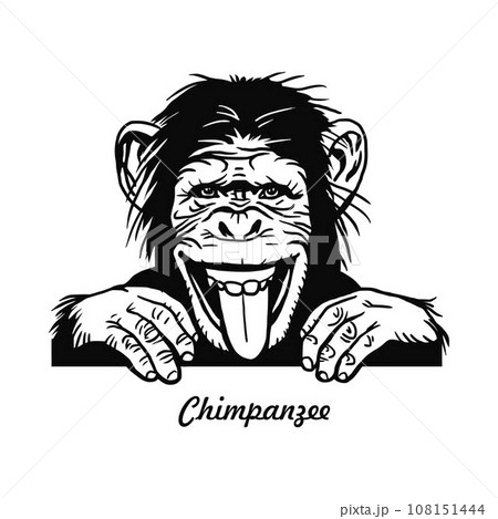 Peeking monkey - Comic Animal - Funny Animal - Wildlife Stencil - vector clipart stock Peeking monkey - Comic Animal - Funny Animal - Wildlife Stencil - vector clipart stock 108151444