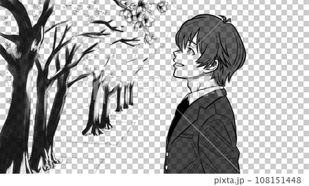 桜を見る男子生徒の横顔・桜並木（モノクロ） 108151448
