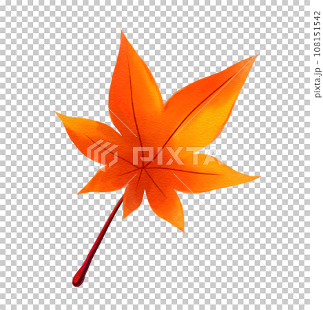 もみじの葉　イラスト 108151542