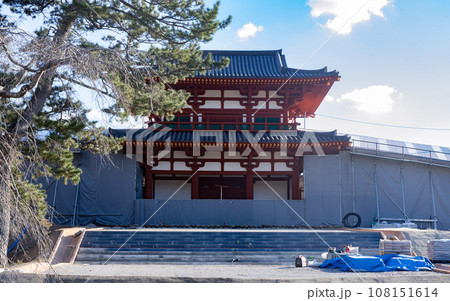 再建中の多賀城南門（国特別史跡） 108151614