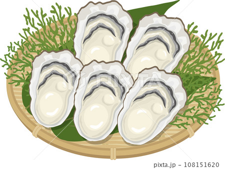 ザルに盛られた牡蠣 108151620