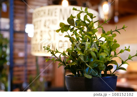 インテリアショップのフェイクグリーン 108152102