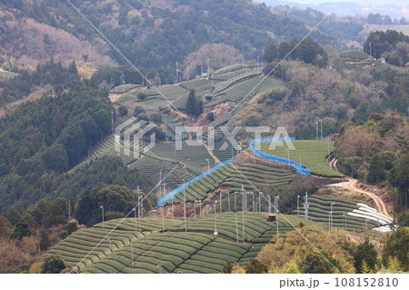 和束 和束 108152810