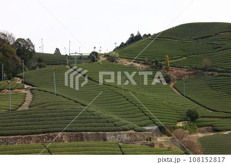 和束 和束 108152817