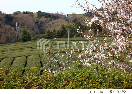 和束 和束 108152983