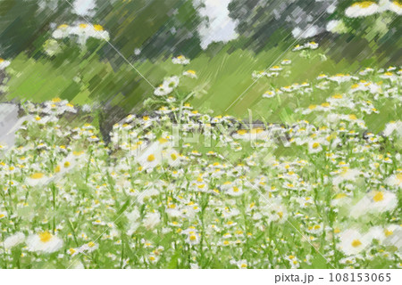 たくさんの白い花 108153065