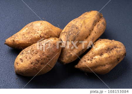 さつまいも(栗黄金) さつまいも(栗黄金) 108153084
