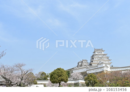 世界遺産姫路城の三の丸広場と桜が咲く季節 108153456