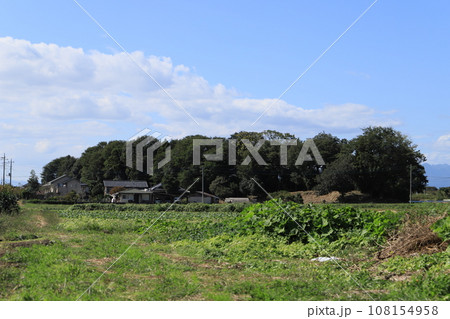 女堀(二之宮地区峰下地点) 女堀(二之宮地区峰下地点) 108154958