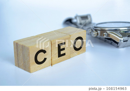 CEO text on wooden cubes representing Chief Executive Officer with customizable space for text. Copy space and Senior Management concept. 108154963