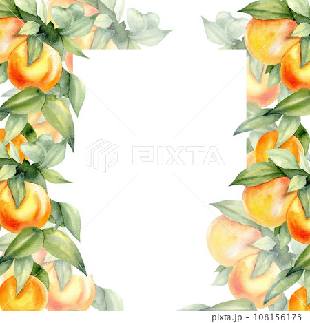 Watercolor tangerines frame. Hand drawn citrus fruits , mandarin card template. Isolated clip art for logo, label , packing , invitation design 108156173