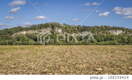 harvested corn field in the valley of Missouri River near Hartsburg, MO 108159424