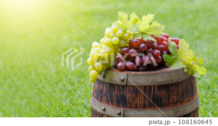 Grape on wine barrel 108160645