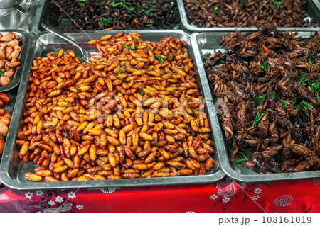 Deep fried spicy silk worms and insects at night street market, selective focus Deep fried spicy silk worms and insects at night street market, selective focus 108161019